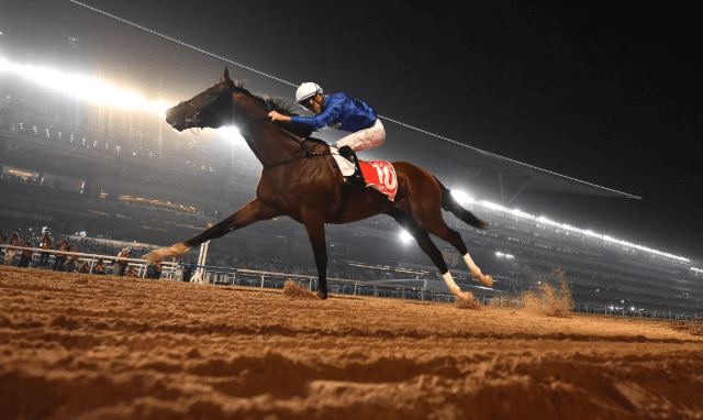 The Best Horse Racing Events You Should Watch