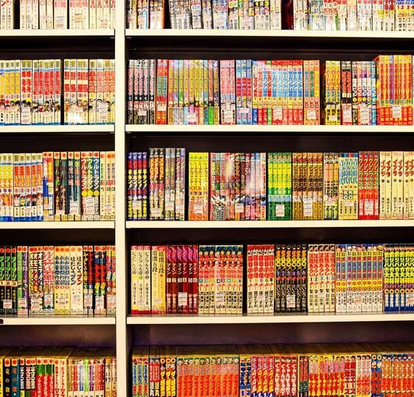 differences between light novels and manga